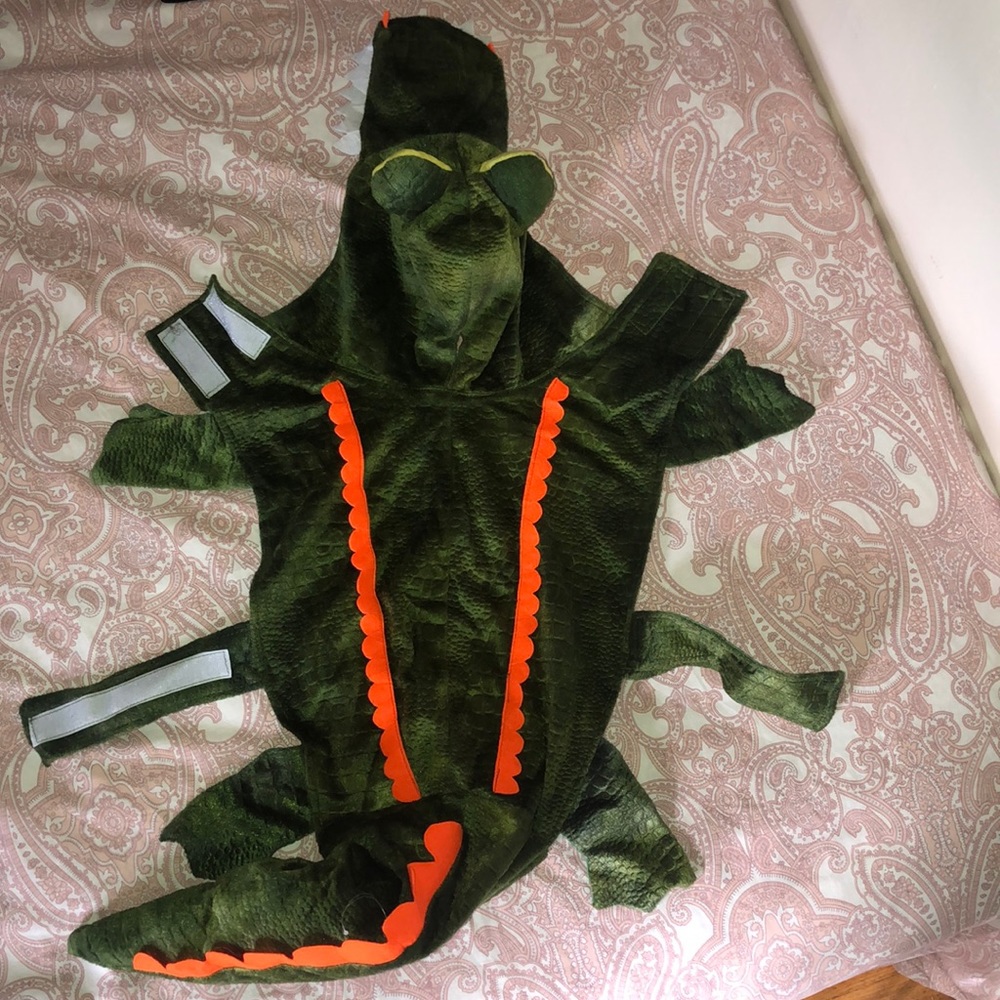 Crocodile Dog Costume